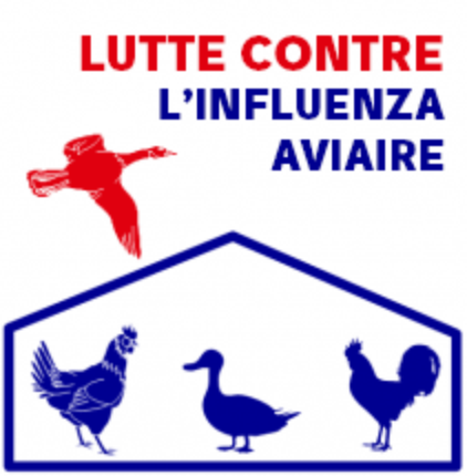 Risque élevé influenza aviaire