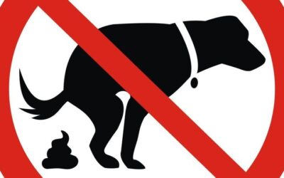 Déjections canines