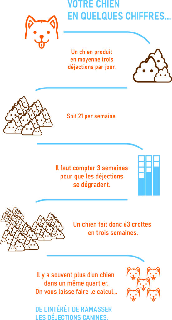 Visuel